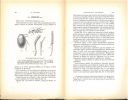 Voyage de Ch. Alluaud et R. Jeannel en Afrique orientale (1911-1912), résultats scientifiques, insectes coléoptères, XVI : Silphidae.. Jeannel, René