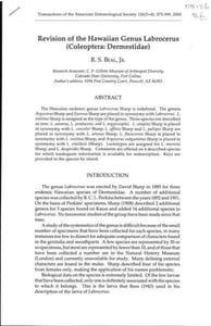 Revision of the Hawaiian genus Labrocerus (Coleoptera : Dermestidae).