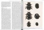 Notes on some Germarostes s.str. Paulian, 1982 from the cloud forests of Ecuadorian Andes with remarks on allied Ceratocanthinae genera (Coleoptera ...