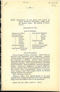 Descriptions of new genera and species of south american Eumolpidae, chiefly from the Amazon region.