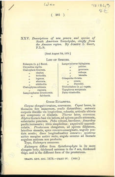 Descriptions of new genera and species of south american Eumolpidae, chiefly from the Amazon region.. Baly, Joseph S.