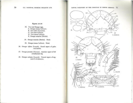 Larval taxonomy of the Troginae in north America with notes on biologies and life histories (Coleoptera : Scarabaeidae).. Baker, Charles W.