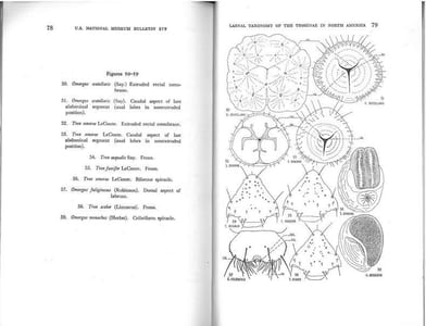 Larval taxonomy of the Troginae in north America with notes on biologies and life histories (Coleoptera : Scarabaeidae).