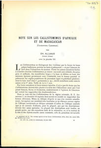 Note sur les Callistomimus d'Afrique et de Madagascar (Coleoptera, Carabidae).