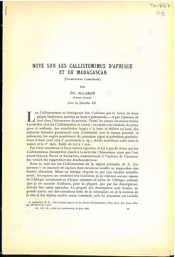 Note sur les Callistomimus d'Afrique et de Madagascar (Coleoptera, Carabidae).. Alluaud, Charles