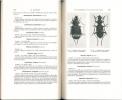 Les carabiques de la savane de Lamto (Côte d'Ivoire).. Lecordier, Ch.