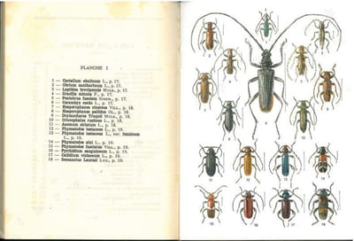 Atlas des coléoptères de France, fasc. III.