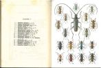 Atlas des coléoptères de France, fasc. III.. Auber, Luc