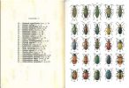 Atlas des coléoptères de France, fasc. III.. Auber, Luc
