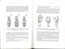Mission zoologique de l'I.R.S.A.C. en Afrique orientale (P. Basilewsky et N. Leleup, 1957), XII : Coleoptera Pselaphidae.. Jeannel, René