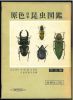 Coloured illustrations of the insects of Japan. Coleoptera.. Nakane, Takehiko