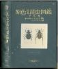 Coloured illustrations of the insects of Japan. Coleoptera.. Nakane, Takehiko