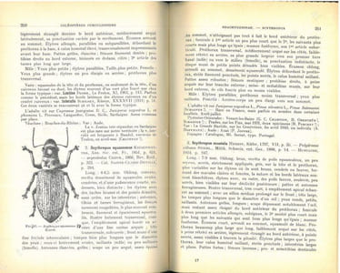 Faune de France. 52. Coléoptères Curculionides (Première partie).