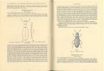 A monograph of the beetles associated with stored products. Vol. 1.. Hinton, H.E.