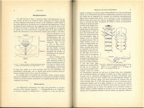 La tératologie des coléoptères et expériences de transplantation sur Tenebrio molitor L... Balazuc, Jean
