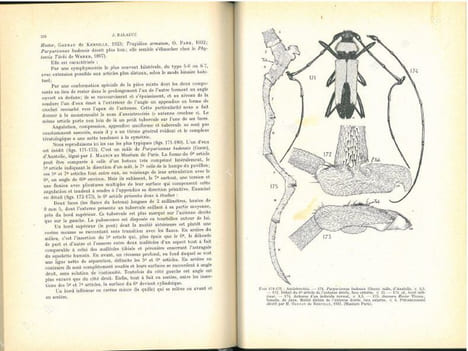 La tératologie des coléoptères et expériences de transplantation sur Tenebrio molitor L... Balazuc, Jean