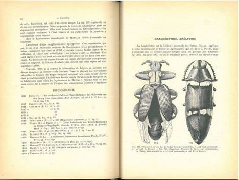 La tératologie des coléoptères et expériences de transplantation sur Tenebrio molitor L... Balazuc, Jean