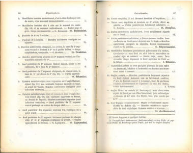 Faune des coléoptères du bassin de la Seine. Tome VI. Rhynchophora.