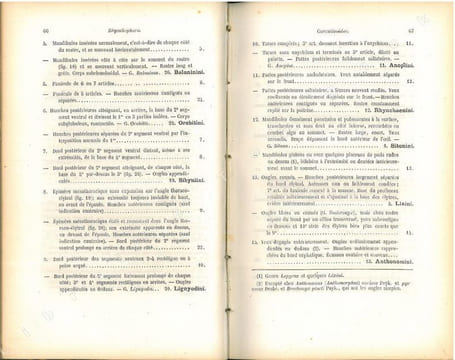 Faune des coléoptères du bassin de la Seine. Tome VI. Rhynchophora.. Bedel, Louis