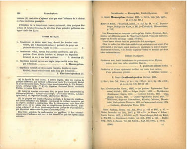 Faune des coléoptères du bassin de la Seine. Tome VI. Rhynchophora.