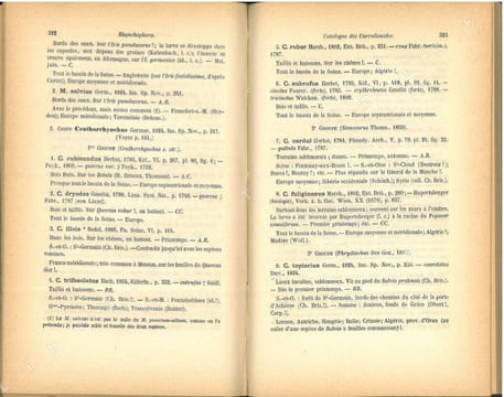 Faune des coléoptères du bassin de la Seine. Tome VI. Rhynchophora.. Bedel, Louis