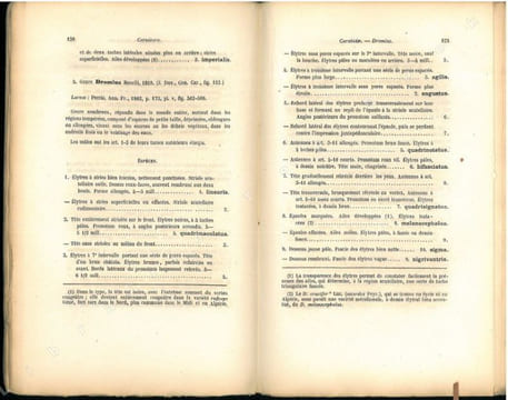 Faune des coléoptères du bassin de la Seine. Tome I. Carnivora, Palpicornia.. Bedel, Louis