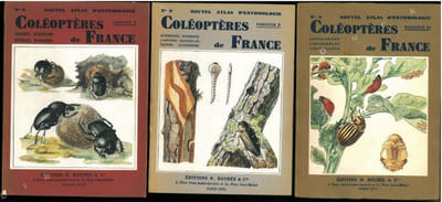 Atlas des coléoptères de France. 3 fasc..