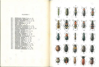 Atlas des coléoptères de France. 3 fasc..