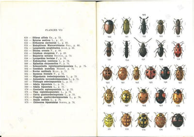 Atlas des coléoptères de France. 3 fasc..