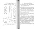 Monographie des coléoptères Brentidae du continent africain.. Damoiseau, Roger