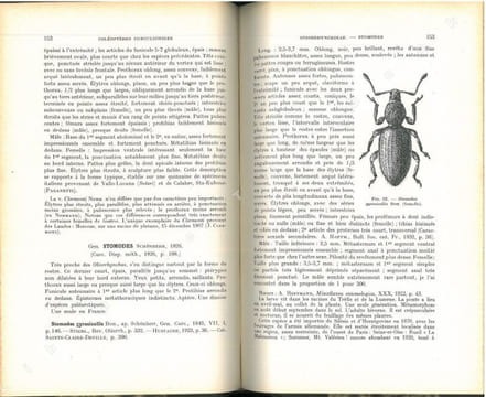Faune de France. 52. Coléoptères Curculionides (Première partie).. Hoffmann, Adolphe