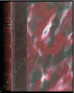 Révision générale des Harpalinae d'Afrique et de Madagascar (Coleoptera Carabidae), 2 parties en 1 vol..