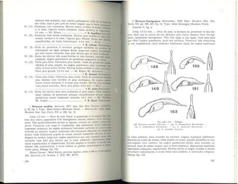Révision générale des Harpalinae d'Afrique et de Madagascar (Coleoptera Carabidae), 2 parties en 1 vol... Basilewsky, Pierre