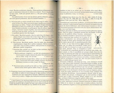 Tableaux analytiques des coléoptères de la faune franco-rhénane (France, Hollande, Belgique, région rhénane, Valais), famille I : Cicindelidae, ...