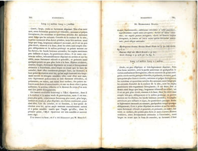 Spécies général des coléoptères de la collection de M. le Compte Dejean, vol. 6 : Hydrocanthares et Gyriniens.
