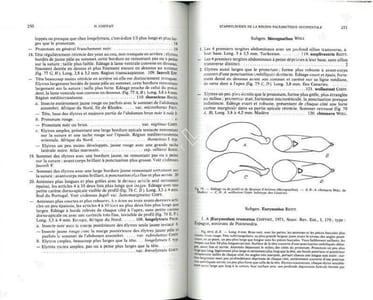 British water beetles. Volume III.