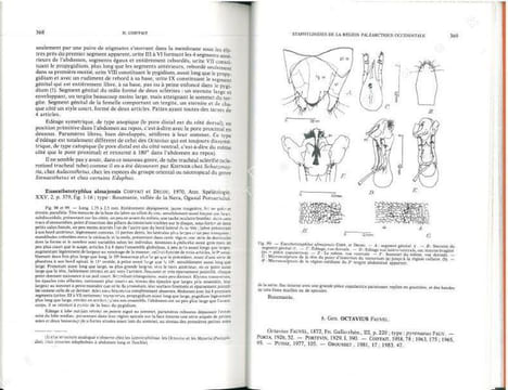 British water beetles. Volume III.. Balfour-Browne, F.