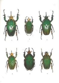 Les Coléoptères du monde. The Beetles of the World. Vol. 7. Goliathini 3.