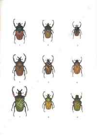 Les Coléoptères du monde. The Beetles of the World. Vol. 7. Goliathini 3.