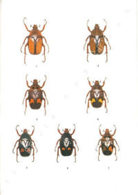 Les Coléoptères du monde. The Beetles of the World. Vol. 7. Goliathini 3.