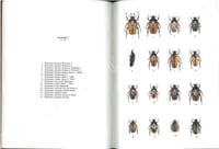 Les Coléoptères du Monde. The Beetles of the World. Vol. 11. Goliathini 4.