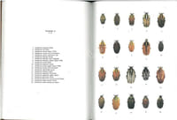Les Coléoptères du Monde. The Beetles of the World. Vol. 11. Goliathini 4.