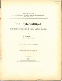Die Dipterenflügel, ihr Schema und Ihre Ableitung.