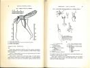 Biologie d'Anopheles gambiae, recherches en Afrique-Occidentale française.. Holstein, M.H.