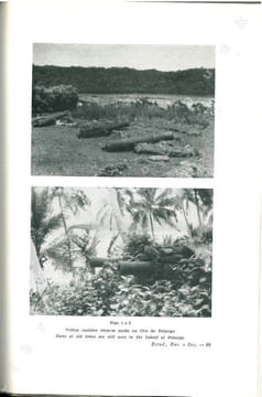 O reaparecimento da Glossina palpalis palpalis na ilha do principe - The reappearance of Glossina palpalis palpalis in Principe island.. Azevedo de ...