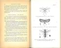 Flies in relation to disease. Non blood-sucking flies.. Graham-Smith, G.S.