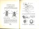 Les Glossines de l'Afrique occidentale française.. Gaschen, H.