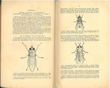 Tsetse-flies.Their characteristics, distribution and bionomics with some account of possible methods for their control.