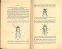 Tsetse-flies.Their characteristics, distribution and bionomics with some account of possible methods for their control.. Austen, E.E & E. Hegh