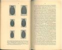 Tsetse-flies.Their characteristics, distribution and bionomics with some account of possible methods for their control.. Austen, E.E & E. Hegh